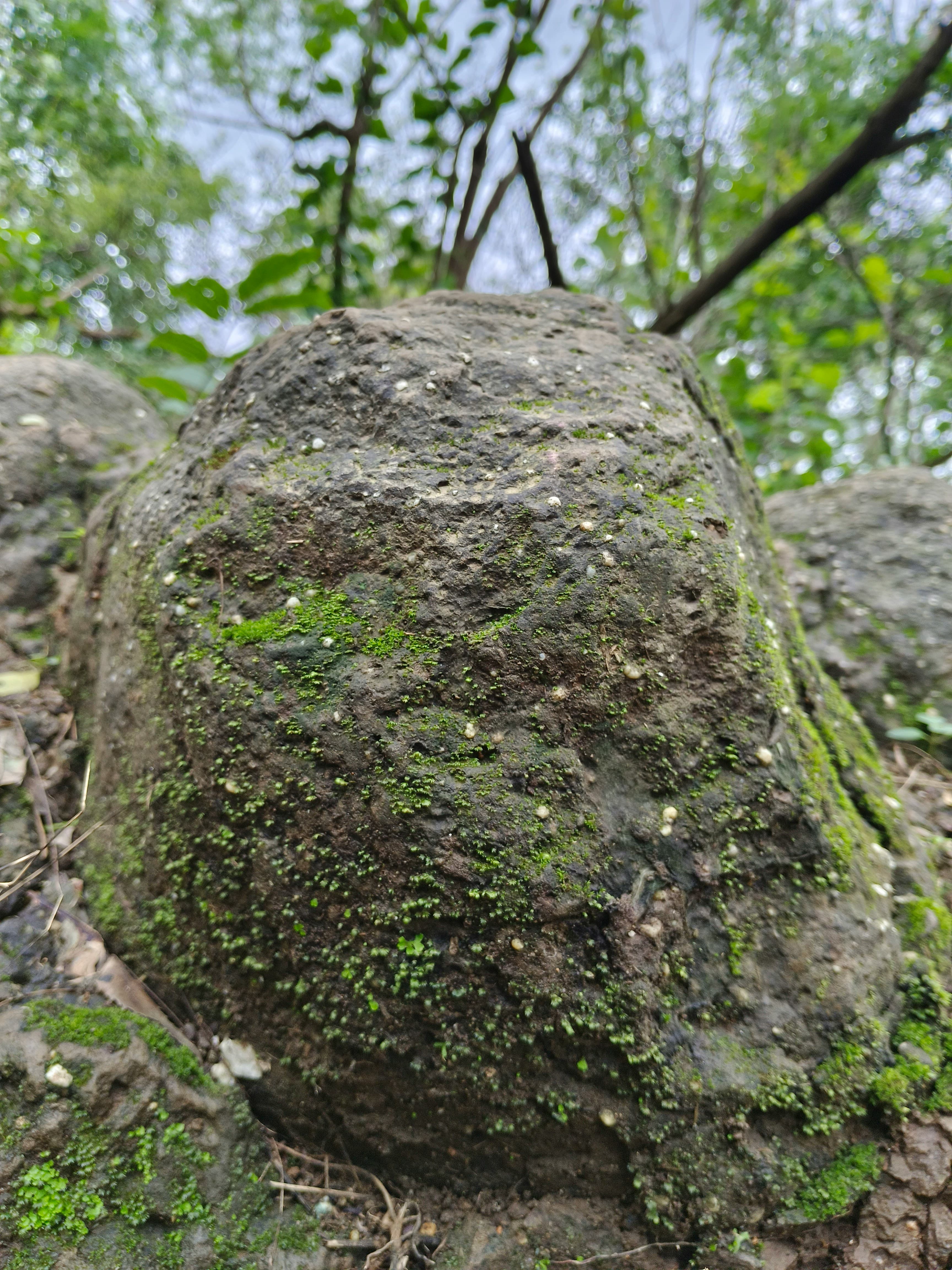 Moll Dyer Rock
